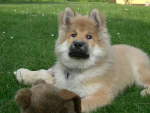 ***WAs guckst Du?**