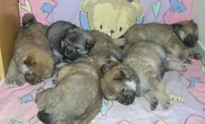 :::Auf Mamas Decke:::