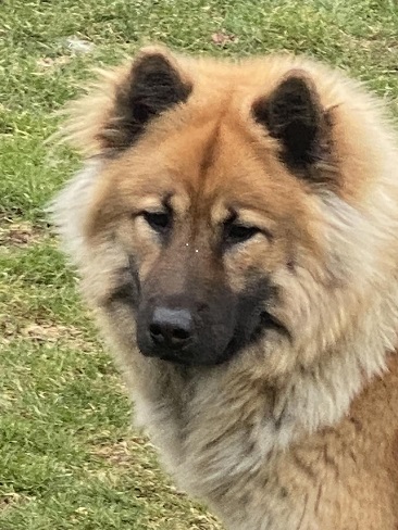 Odina von der kleinen Blaike