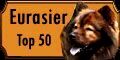 :::Eurasier-Top 50:::